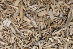 biomass boilers Littledean