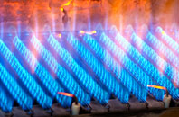 Littledean gas fired boilers